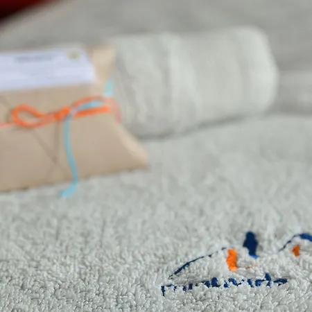 Pensión Quinta Minuvida 4*