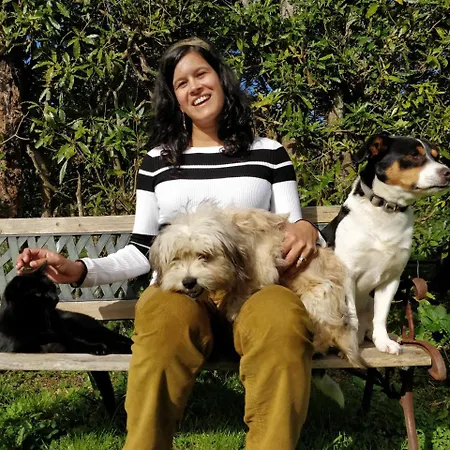 Pensión Quinta Minuvida 4*