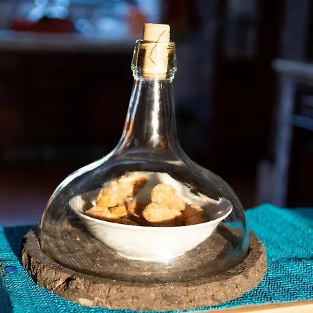 Quinta Minuvida Pensión 4*