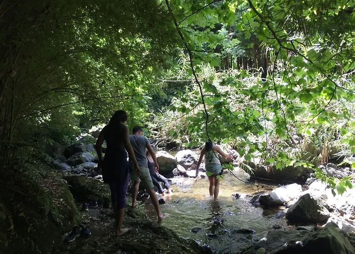 Quinta Minuvida Πανσιόν Rabo de Peixe