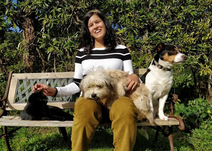 Πανσιόν Quinta Minuvida 4*