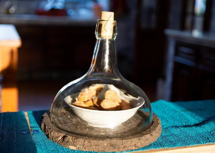 Quinta Minuvida Πανσιόν 4*