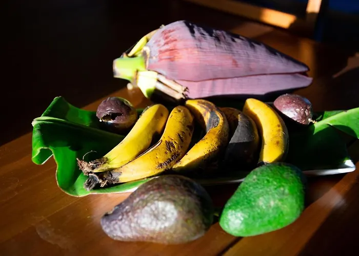 Quinta Minuvida 4* Rabo de Peixe