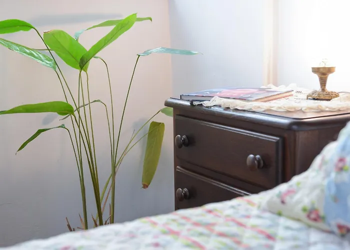 Πανσιόν Quinta Minuvida